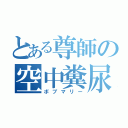 とある尊師の空中糞尿（ボブマリー）