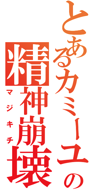 とあるカミーユの精神崩壊（マジキチ）