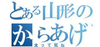 とある山形のからあげ（太って死ね）