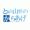 とある山形のからあげ（太って死ね）