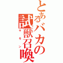 とあるバカの試獣召喚Ⅱ（サモン）