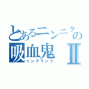 とあるニンニクの吸血鬼Ⅱ（イングランド）