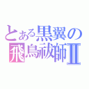 とある黒翼の飛鳥祓師Ⅱ（）