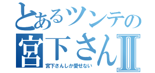 とあるツンテの宮下さんⅡ（宮下さんしか愛せない）