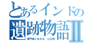 とあるインドの遺跡物語Ⅱ（専門家とまわる、七日間）