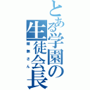 とある学園の生徒会長（楯無さん）