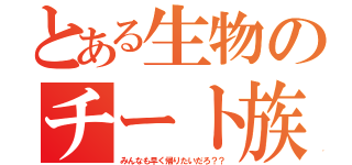 とある生物のチート族（みんなも早く帰りたいだろ？？）