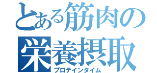 とある筋肉の栄養摂取（プロテインタイム）