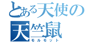 とある天使の天竺鼠（モルモット）