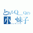 とあるＱ＿Ｑの小璐妹子（インデックス）