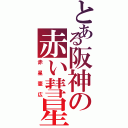 とある阪神の赤い彗星（赤星憲広）