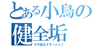 とある小鳥の健全垢（ミケ＠エイラーニャ♪）