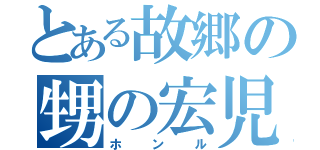 とある故郷の甥の宏児（ホンル）