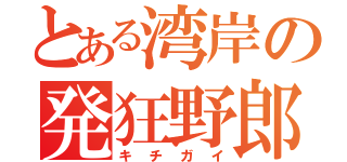 とある湾岸の発狂野郎（キチガイ）