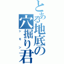 とある地底の穴掘り君（シモン）