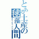 とある土産の毬藻人間（まりもっこり）