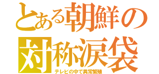 とある朝鮮の対称涙袋（テレビの中で異常繁殖）