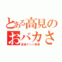 とある高見のおバカさん（変態ナンパ野郎）