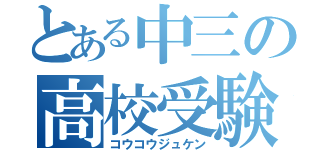 とある中三の高校受験（コウコウジュケン）