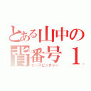 とある山中の背番号１（エースピッチャー）