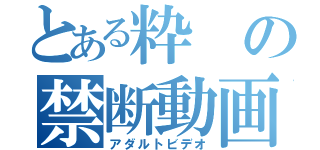 とある粋の禁断動画（アダルトビデオ）