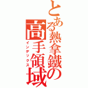 とある熱拿鐵の高手領域（インデックス）