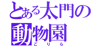 とある太門の動物園（ごりら）