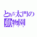 とある太門の動物園（ごりら）