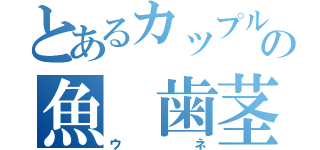 とあるカップルの魚　歯茎（ウネ）