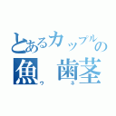 とあるカップルの魚　歯茎（ウネ）