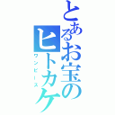 とあるお宝のヒトカケラ（ワンピース）