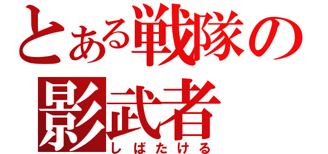 とある戦隊の影武者（しばたける）