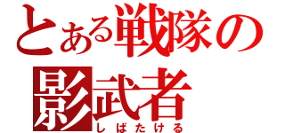 とある戦隊の影武者（しばたける）