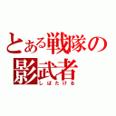 とある戦隊の影武者（しばたける）