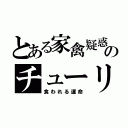 とある家禽疑惑のチューリ（食われる運命）