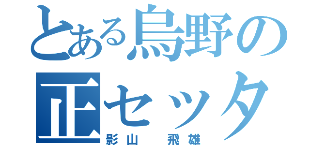 とある烏野の正セッター（影山 飛雄）