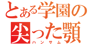 とある学園の尖った顎（ハンサム）