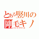 とある竪川の剛毛キノコ（イトウマサハル）