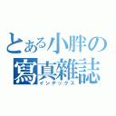 とある小胖の寫真雜誌（インデックス）