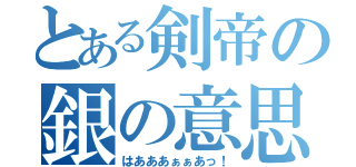 とある剣帝の銀の意思（はあああぁぁあっ！）