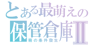 とある最萌えの保管倉庫Ⅱ（萌の条件發生）