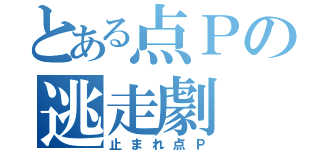 とある点Ｐの逃走劇（止まれ点Ｐ）