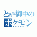 とある御中のポケモン廃人（厨ポケ使い）