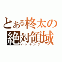 とある柊太の絶対領域（ハッキング）