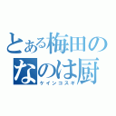 とある梅田のなのは厨（ケインコスギ）