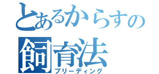 とあるからすの飼育法（ブリーディング）