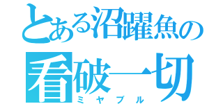 とある沼躍魚の看破一切（ミヤブル）