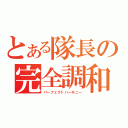 とある隊長の完全調和（パーフェクトハーモニー）