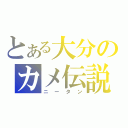 とある大分のカメ伝説（ニータン）