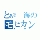 とある 海のモヒカンサーファー（藤原）